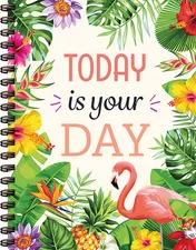 Omslag van Today is your day