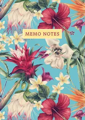 Omslag van Memo notes