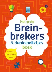 Omslag van Het grote breinbrekers en denkspelletjes boek