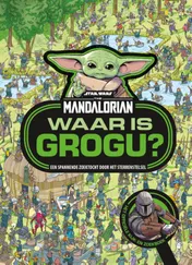 Omslag van Waar is Grogu?