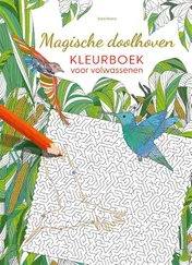 Omslag van Magische doolhoven kleurboek voor volwassenen