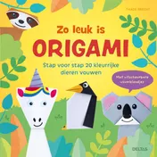 Omslag van Zo leuk is origami