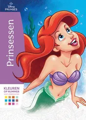 Omslag van Disney Prinsessen kleuren op nummer voor volwassenen