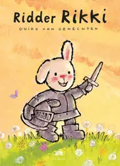Omslag van Ridder Rikki