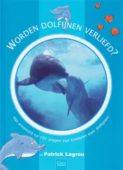 Omslag van Worden dolfijnen verliefd?
