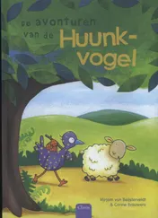 Omslag van De avonturen van de Huunkvogel