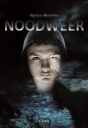 Omslag van Noodweer