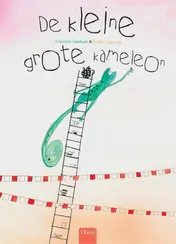 Omslag van De kleine grote kameleon