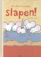 Omslag van Slapen!