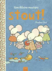 Omslag van Stout!