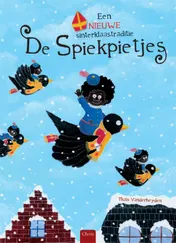 Omslag van De Spiekpietjes