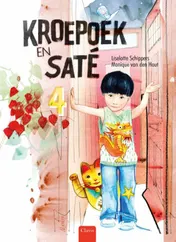 Omslag van Kroepoek en saté