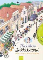 Omslag van Meester Bakkebaard