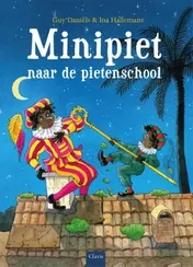 Omslag van Minipiet