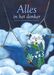 Omslag van Alles in het donker