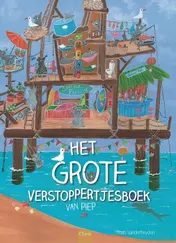 Omslag van Het grote verstoppertjesboek van Piep