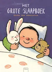 Omslag van Het grote slaapboek