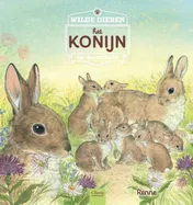 Omslag van Het konijn