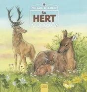 Omslag van Het hert
