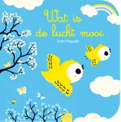 Omslag van Wat is de lucht mooi