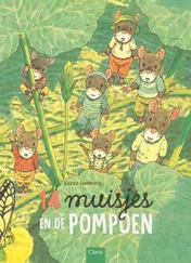 Omslag van 14 muisjes en de pompoen