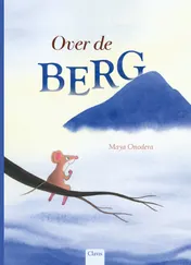 Omslag van Over de berg