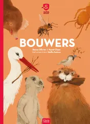Omslag van Bouwers