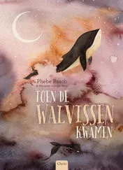 Omslag van Toen de walvissen kwamen