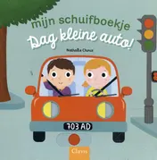 Omslag van Dag kleine auto!