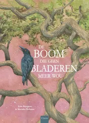 Omslag van De boom die geen bladeren meer wou