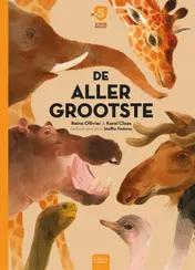 Omslag van De allergrootste