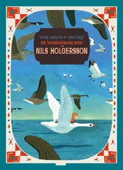 Omslag van De wonderbare reis van Nils Holgersson