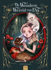 Omslag van De wondere wereld van Eva