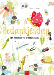 Omslag van Bedankjesdag