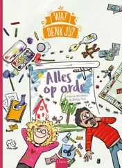 Omslag van Alles op orde