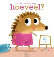 Omslag van Hoeveel?