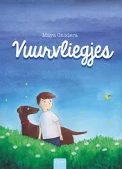 Omslag van Vuurvliegjes
