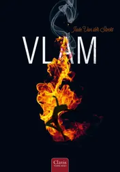 Omslag van Vlam