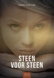 Omslag van Steen voor steen