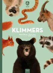 Omslag van Klimmers