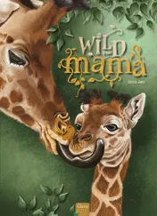 Omslag van Wild van mama
