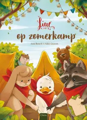 Omslag van Lieve Lies op zomerkamp