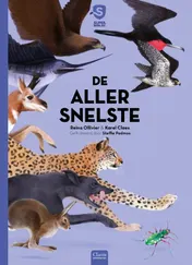Omslag van De allersnelste