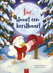 Omslag van Lieve Lies stuurt een kerstkaart
