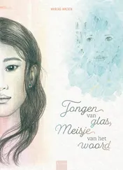 Omslag van Jongen van glas, meisje van het woord