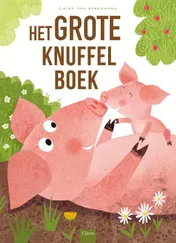 Omslag van Het grote knuffelboek