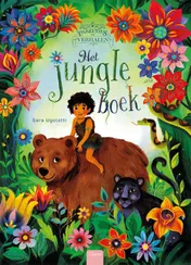 Omslag van Het jungleboek