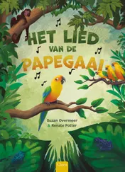 Omslag van Het lied van de papegaai