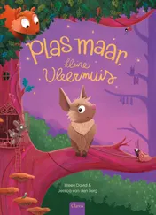 Omslag van Plas maar, kleine vleermuis