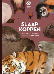 Omslag van Slaapkoppen